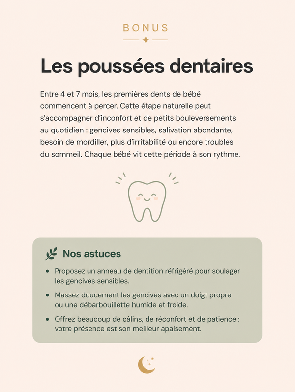 Page du guide : les poussées dentaires